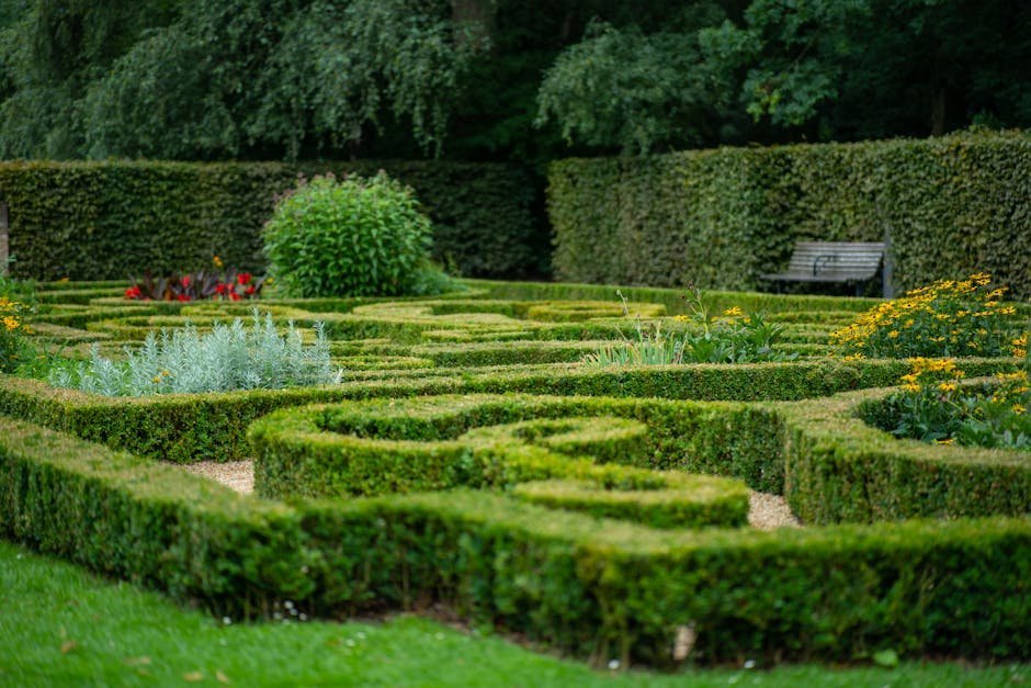 Person walking a labyrinth in a peaceful garden setting for contemplative practice