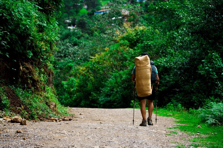 Free stock photo via Pexels