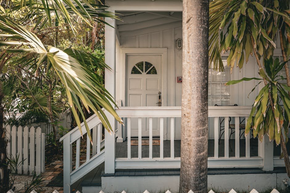 Free stock photo via Pexels