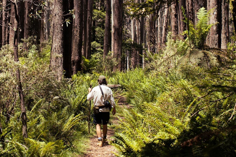 Free stock photo via Pexels