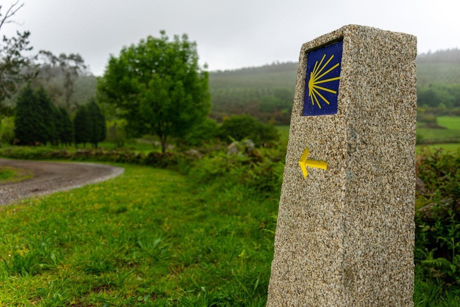 A pilgrim walking the Camino de Santiago with a backpack and walking stick at sunrise