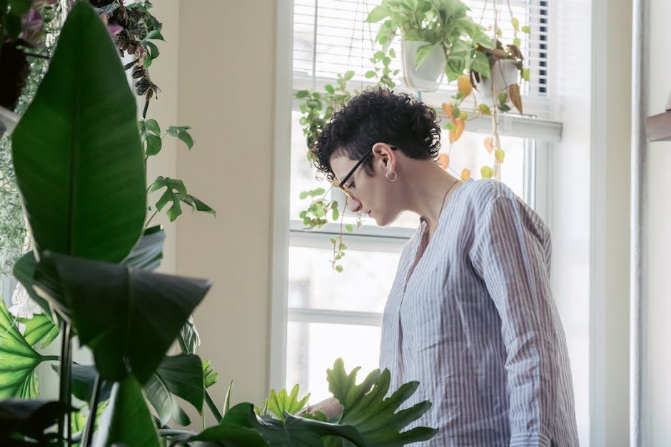 Person tending houseplants on apartment windowsill for mental wellness