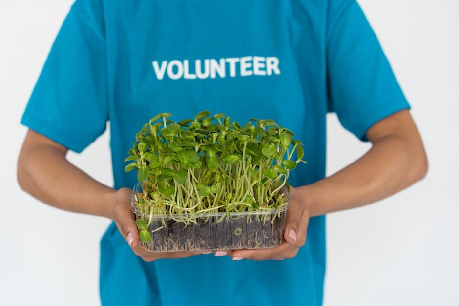 Retired woman volunteering at community garden