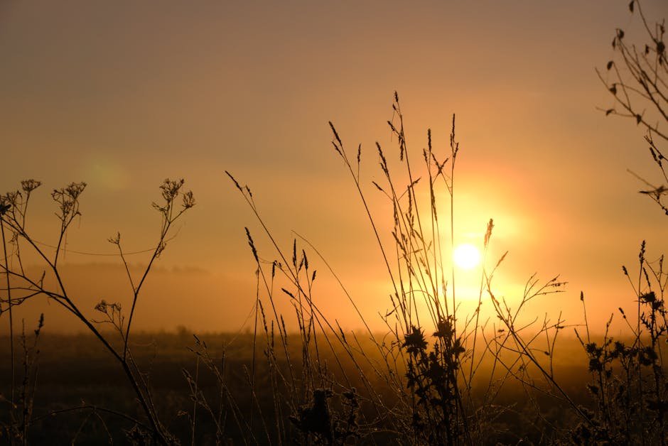 Morning routine for mental health: a soft sunrise over a quiet landscape with mist on the hills, the kind of calm early light that anchors a gentle morning routine for mental health